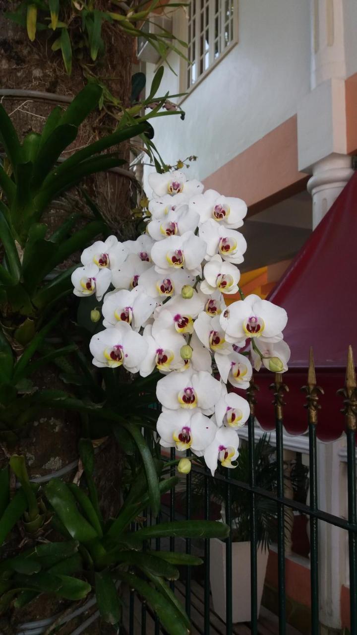 Pousada Casablanca Vila do Abraao Ngoại thất bức ảnh